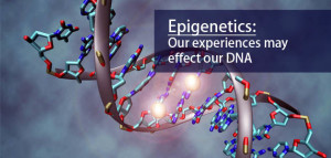 epigenetica